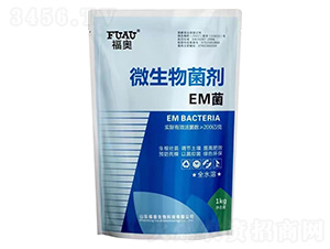 ΢-EM-